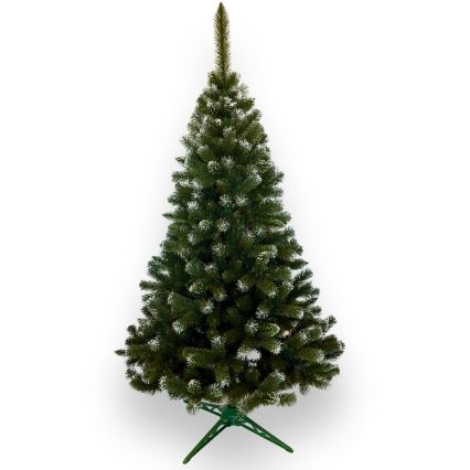 Božićno drvce 250 cm jela