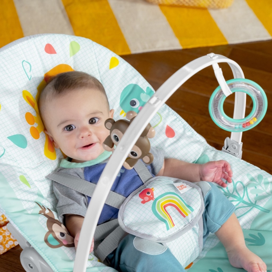 Bright Starts - Dečija vibrirajuća ljuljaška WILD VIBES 1xLR14