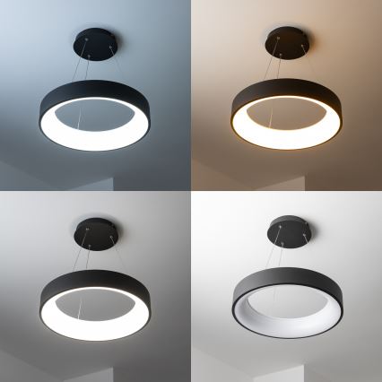 BRILAGI - LED prigušiva luster na sajli FALCON LED/40W/230V 3000-6500K prečnik 45 cm crna + daljinski upravljač