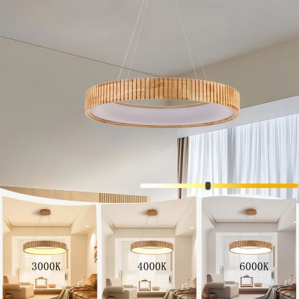 Brilagi - LED luster na sajli FALCON WOOD MODERN LED/40W/230V 3000/4000/6000K prečnik 60 cm drvo