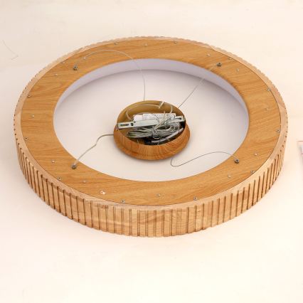 Brilagi - LED luster na sajli FALCON WOOD MODERN LED/40W/230V 3000/4000/6000K prečnik 60 cm drvo