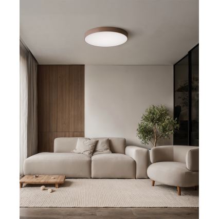Brilagi - Kupatilsko plafonsko svetlo CLARE 4xE27/24W/230V prečnik 50 cm IP54 braon