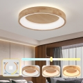 Brilagi - LED drveno plafonsko svetlo FALCON WOOD LED/40W/230V 3000/4000/6000K prečnik 60 cm