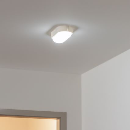 Brilagi - LED industrijsko plafonsko svetlo SIMA LED/12W/230V IP65 bela