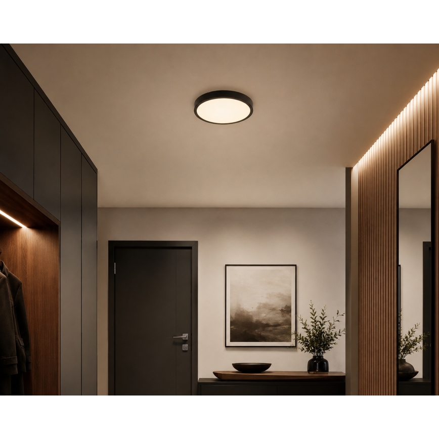 BRILAGI - LED stropno svetlo za kupatilo ZENNA LED/18W/230V prečnik 29,5 cm IP44 crno