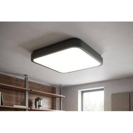 BRILAGI - LED plafonsko svetlo za kupatilo ZENNA LED/36W/230V 41x41 cm IP44 crno