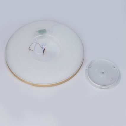 Brilagi - LED kupatilsko stropno svetlo ULTRA SLIM LED/24W/230V Ø 42 cm zlatno IP54