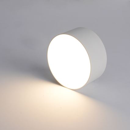 Brilagi - LED kupatilsko plafonsko svetlo FORIS LED/20W/230V, prečnik 15 cm, belo, IP44