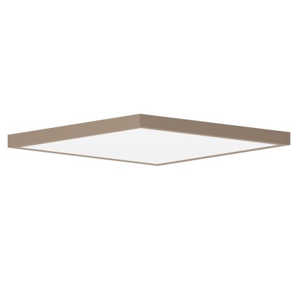Brilagi - LED plafonsko svetlo za kupatilo FRAME LED/50W/230V 60x60 cm IP44 bež