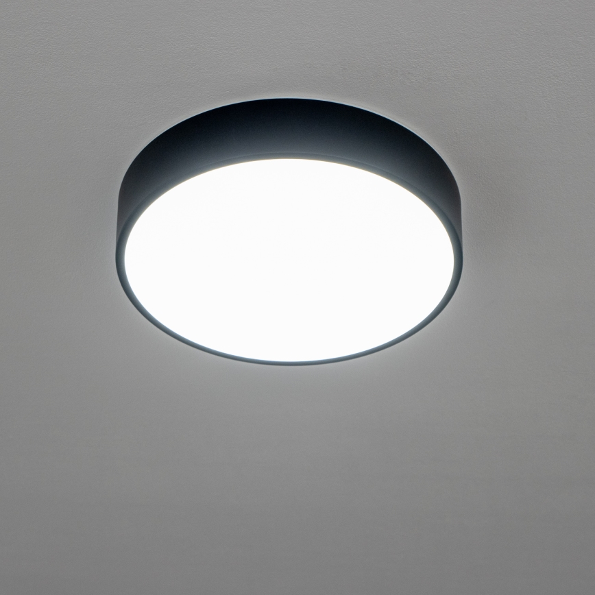 BRILAGI - LED stropna svetiljka za kupatilo POOL LED/24W/230V 3000/4000/5500K prečnika 30 cm IP54 crna