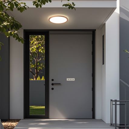 Brilagi - LED kupatilsko plafonsko svetlo ULTRA TANAK LED/12W/230V prečnik 22,5 cm roze zlato IP54