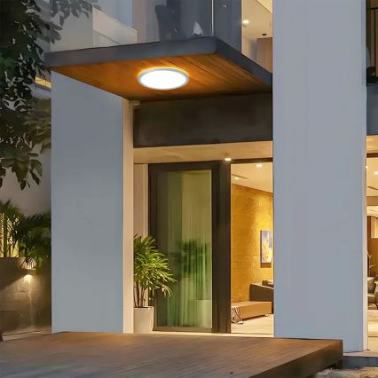 Brilagi - LED plafonsko svetlo za kupatilo ULTRA SLIM LED/24W/230V prečnik 42 cm srebrno IP54