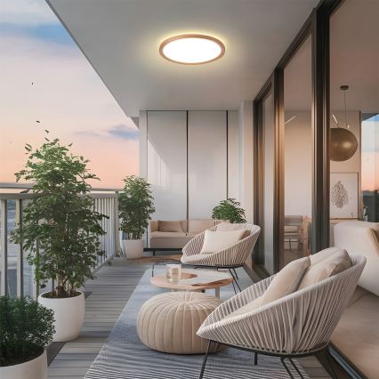 Brilagi - LED plafonsko svetlo za kupatilo ULTRA SLIM LED/24W/230V Ø 42 cm ružičasto zlato IP54