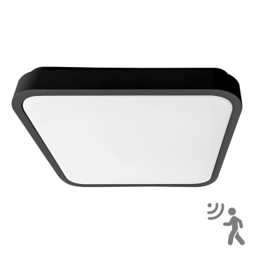 BRILAGI - LED kupatilsko stropno svetlo sa senzorom ZENNA LED/36W/230V 41,5x41,5 cm IP44 crna + daljinski upravljač