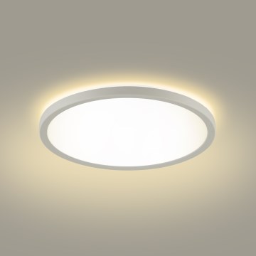 Brilagi - LED kupatilsko stropno svetlo ULTRA SLIM LED/12W/230V Ø 22,5 cm bela IP54