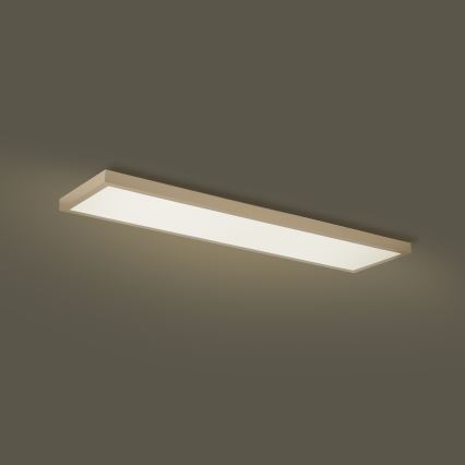 Brilagi - LED prigušiva plafonsko svetlo za kupatilo FRAME SMART LED/50W/230V 120x30 cm 3000-6000K IP44 bež + daljinski upravljač