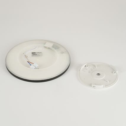 Brilagi - kupatilsko plafonsko LED svetlo ULTRA SLIM LED/12W/230V, prečnik 22,5 cm, crno, IP54