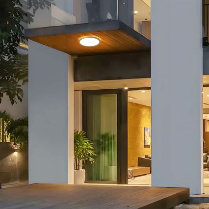 Brilagi - LED plafonsko svetlo za kupatilo ULTRA SLIM LED/12W/230V prečnik 22,5 cm zlatno IP54