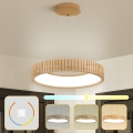 Brilagi - LED luster na sajli FALCON WOOD MODERN LED/30W/230V 3000/4000/6000K prečnik 45 cm drvo