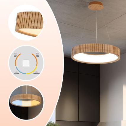 Brilagi - LED luster na sajli FALCON WOOD MODERN LED/30W/230V 3000/4000/6000K prečnik 45 cm drvo