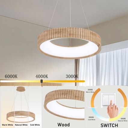 Brilagi - LED luster na sajli FALCON WOOD MODERN LED/30W/230V 3000/4000/6000K prečnik 45 cm drvo