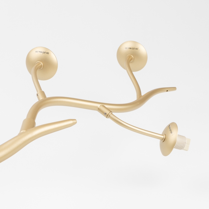 Brilagi - LED luster na sajli MISTEL 6xG9/3W/230V zlatna