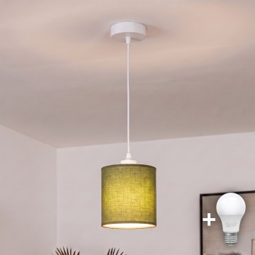 BRILAGI - LED luster na sajli NUBILA 1xE27/60W/230V prečnik 14 cm bela/zelena