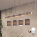 BRILAGI - LED luster na sajli NUBILA 4xE27/60W/230V siva/antracit