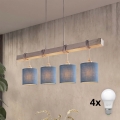 BRILAGI - LED luster na sajli NUBILA 4xE27/60W/230V siva/tamno plava
