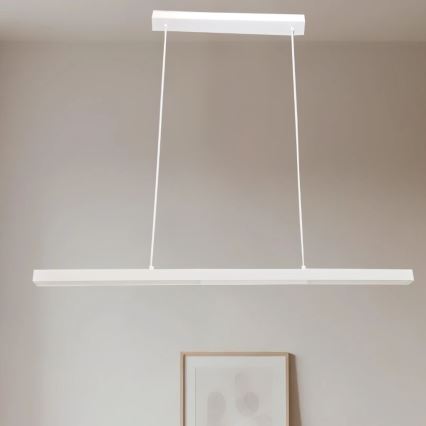 BRILAGI - LED luster na sajli PAXIS LED/30W/230V 120 cm bela