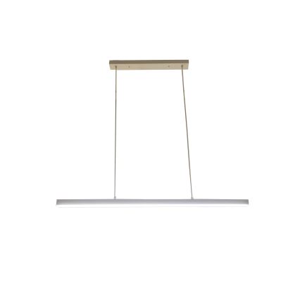 BRILAGI - LED luster na sajli PAXIS LED/30W/230V 120 cm bela