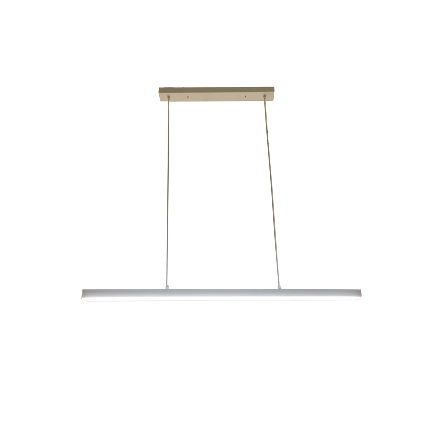 BRILAGI - LED luster na sajli PAXIS LED/30W/230V 120 cm bela