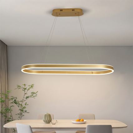 Brilagi - LED luster na sajli PONDIE LED/44W/230V 80x30 cm zlatni