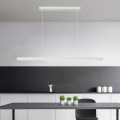 Brilagi - LED luster na sajli PPAXIS LED/30W/230V 120 cm bela