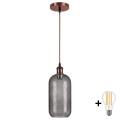 BRILAGI - LED luster na sajli RETRO GLASS 1xE27/60W/230V prečnik 14 cm bakarna/dimljeno-siva