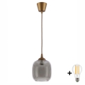 BRILAGI - LED luster na sajli RETRO GLASS 1xE27/60W/230V, prečnik 14 cm, braon/zadimljeno-siva