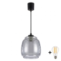 BRILAGI - LED luster na sajli RETRO GLASS 1xE27/60W/230V prečnik 26 cm crna/dimno siva