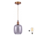 BRILAGI - LED luster na sajli RETRO GLASS 1xE27/60W/230V Ø 14 cm zlatna/zadimljeno-siva