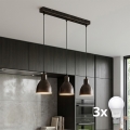 Brilagi - LED luster na sajli RIDDY 3xE27/60W/230V bakarna/patina