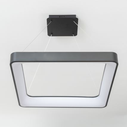 Brilagi - LED luster na sajli FALCON II sa prigušiva LED/125W/230V 3000-6500K 60x60 cm crna + daljinski upravljač