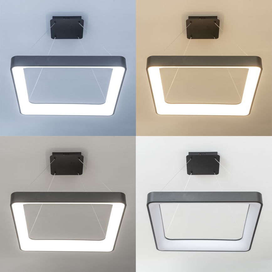 Brilagi - LED luster na sajli FALCON II sa prigušiva LED/125W/230V 3000-6500K 60x60 cm crna + daljinski upravljač