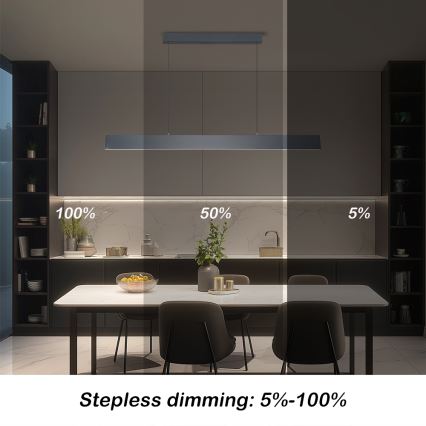 Brilagi - LED prigušiva luster na sajli SLIMLINE LED/40W/230V 3000-6000K antracit + daljinsko upravljanje