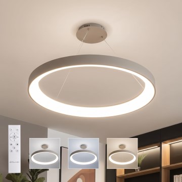 BRILAGI - LED luster sa mogućnošću prigušivanja na sajli FALCON II LED/108W/230V 3000-6500K Ø 80 cm bež + daljinski upravljač (prigušiva)