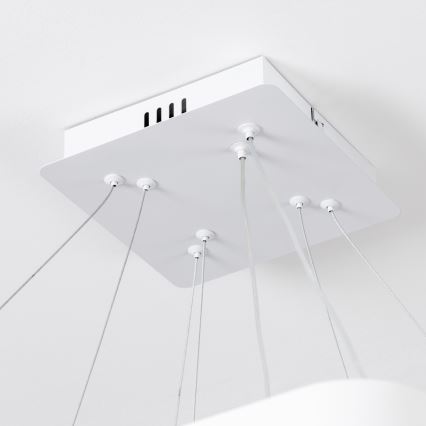 Brilagi - LED prigušiva luster na sajli FALCON SLIM LED/78W/230V 3000-6500K 50x50 cm bela + daljinski upravljač
