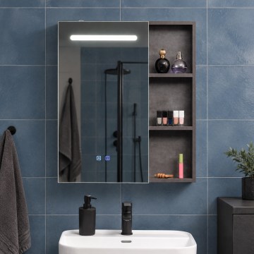 BRILAGI - LED ogledalo-ormarić za kupatilo sa pozadinskim osvetljenjem TRABIA SINGLE 60x70 cm