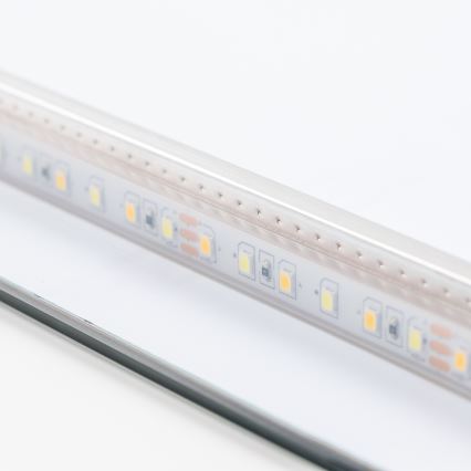 Brilagi - LED ogledalo za kupatilo COMO LED/20W/230V 40x60 cm IP44 CRI 90 prigušiva + CCT