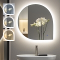 BRILAGI - LED ogledalo za kupatilo RICADI LED/19W/230V 60x60 cm IP44 CRI 90 prigušiva + CCT