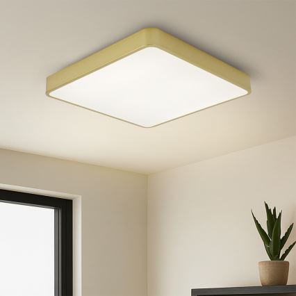 Brilagi - LED plafonjera POOL LED/48W/230V 3000/4500/6000K 50x50 cm zlatna