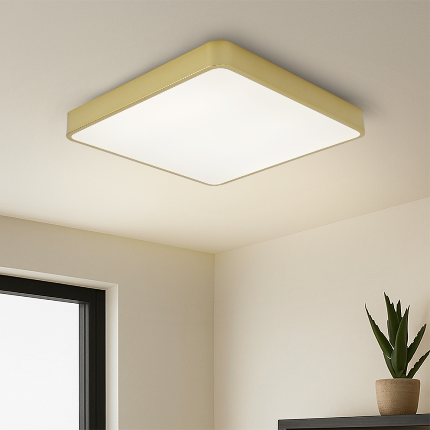 Brilagi - LED plafonjera POOL LED/48W/230V 3000/4500/6000K 50x50 cm zlatna