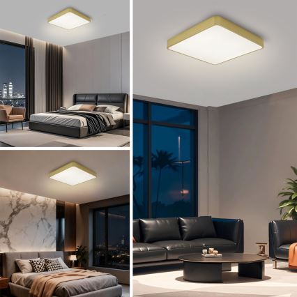 Brilagi - LED plafonjera POOL LED/48W/230V 3000/4500/6000K 50x50 cm zlatna